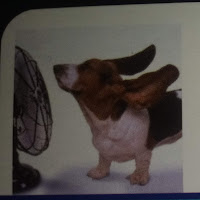 ALL AROUND AC & HEATING logo